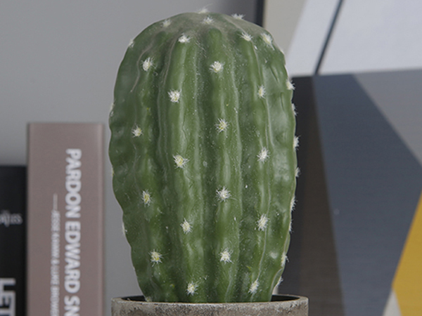 仿真植物墙打造自然绿色的氛围